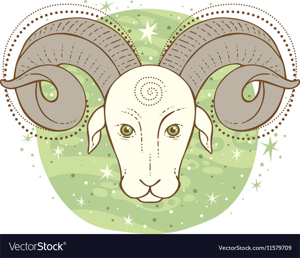 水瓶女爱上白羊男的表现