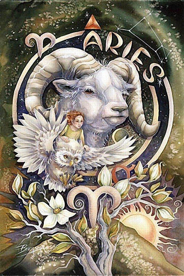 白羊女如何和十二星座男相处呢