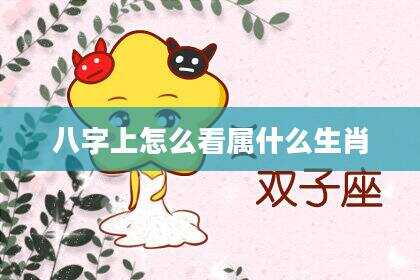 八字上怎么看属什么生肖