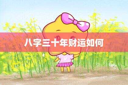 八字三十年财运如何