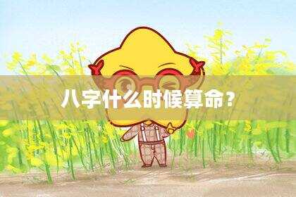 八字什么时候算命？