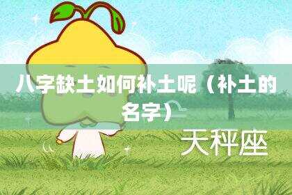 八字缺土如何补土呢（补土的名字）