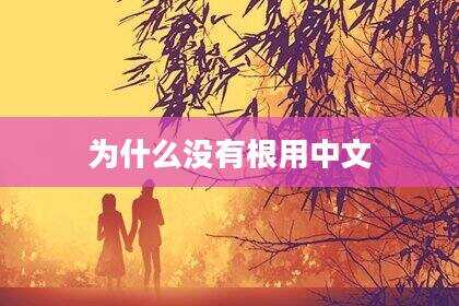 为什么没有根用中文