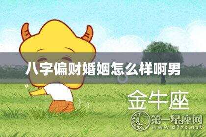 八字偏财婚姻怎么样啊男