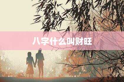 八字什么叫财旺