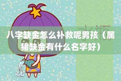 八字缺金怎么补救呢男孩（属猪缺金有什么名字好）
