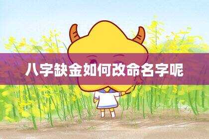 八字缺金如何改命名字呢