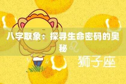 八字取象：探寻生命密码的奥秘