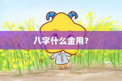 八字什么金用？