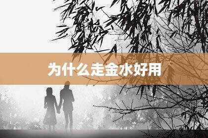 为什么走金水好用
