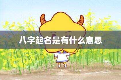 八字起名是有什么意思