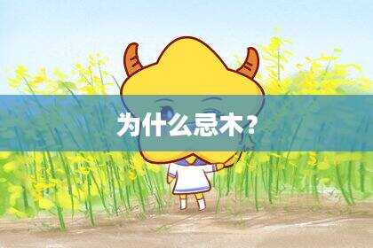 为什么忌木？