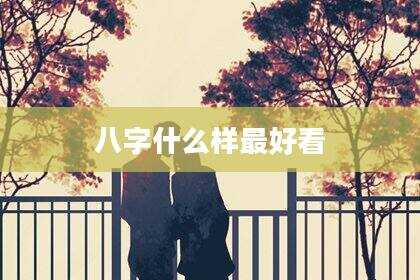 八字什么样最好看