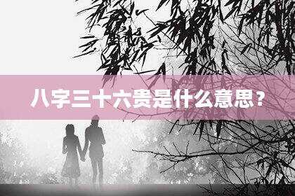 八字三十六贵是什么意思？