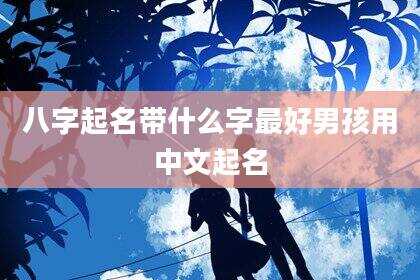 八字起名带什么字最好男孩用中文起名