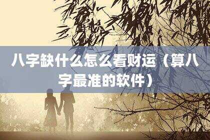 八字缺什么怎么看财运（算八字最准的软件）