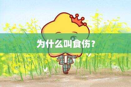 为什么叫食伤？