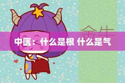 中医：什么是根 什么是气