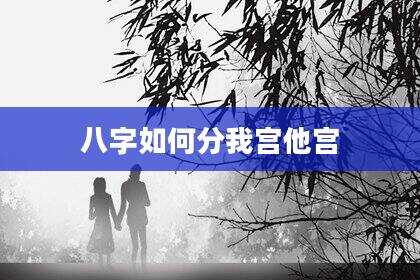 八字如何分我宫他宫