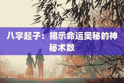 八字起子：揭示命运奥秘的神秘术数
