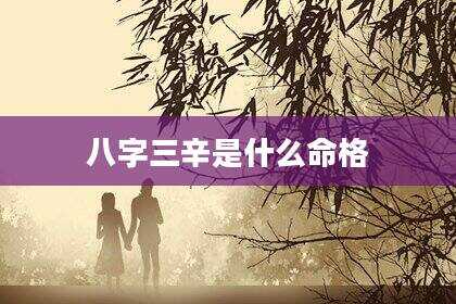 八字三辛是什么命格
