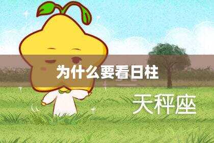 为什么要看日柱