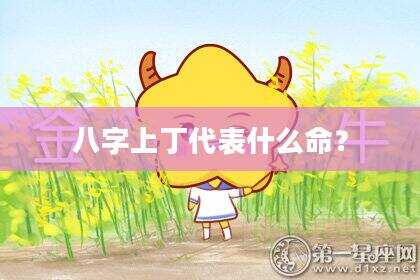 八字上丁代表什么命？