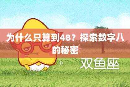 为什么只算到48？探索数字八的秘密
