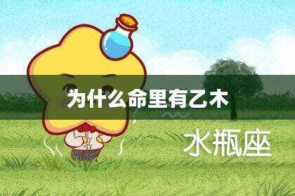 为什么命里有乙木