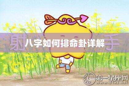 八字如何排命卦详解