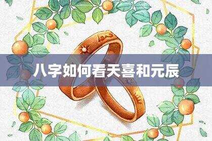 八字如何看天喜和元辰