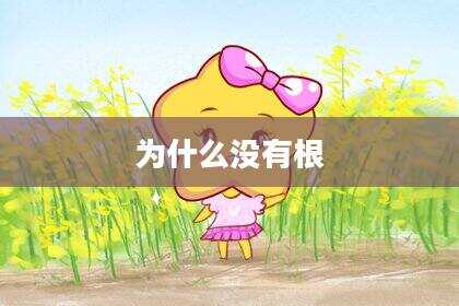 为什么没有根