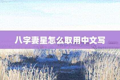 八字妻星怎么取用中文写