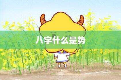 八字什么是势