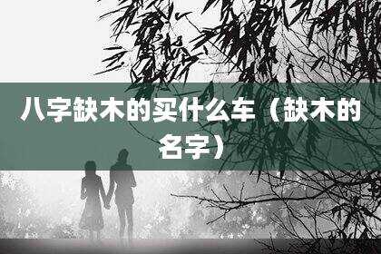 八字缺木的买什么车（缺木的名字）