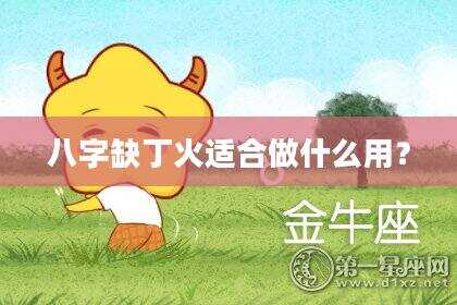 八字缺丁火适合做什么用？
