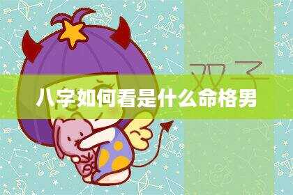 八字如何看是什么命格男