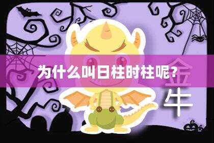 为什么叫日柱时柱呢？