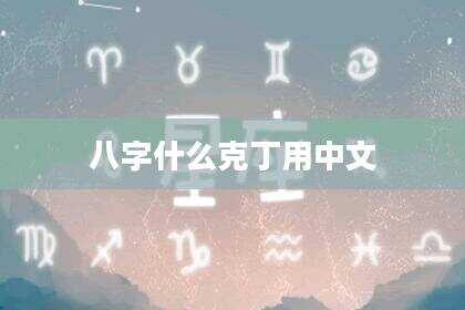 八字什么克丁用中文