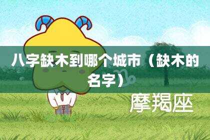 八字缺木到哪个城市（缺木的名字）