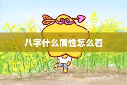 八字什么属性怎么看