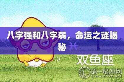八字强和八字弱，命运之谜揭秘