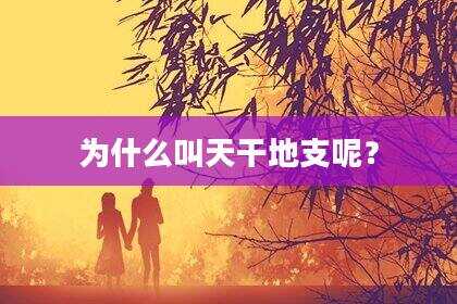 为什么叫天干地支呢？