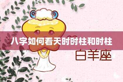 八字如何看天时时柱和时柱