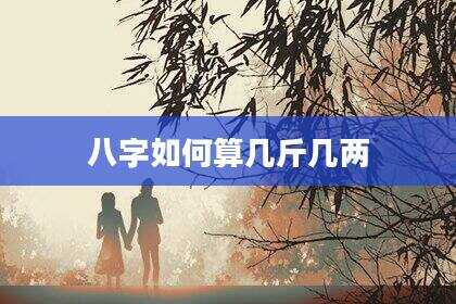 八字如何算几斤几两