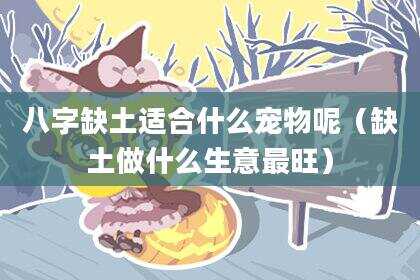 八字缺土适合什么宠物呢（缺土做什么生意最旺）