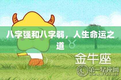 八字强和八字弱，人生命运之道
