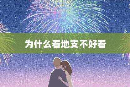 为什么看地支不好看