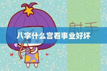 八字什么宫看事业好坏