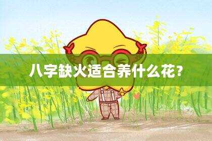 八字缺火适合养什么花？